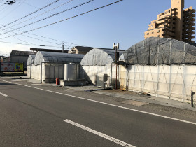 ビニールハウス外観