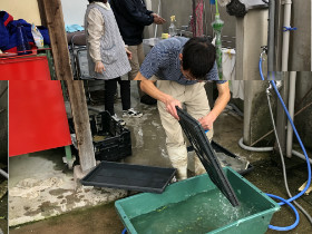3.苗箱洗い