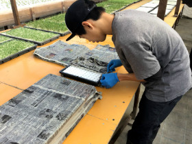 新聞はがし