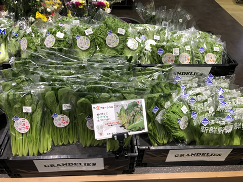 菜草工房