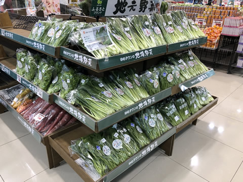 菜草工房
