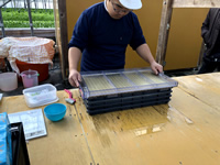 2.種落とし（3番目に覚える作業）